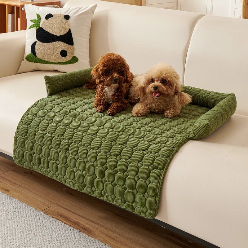 Protege canape pour chien pour chien kaki sur canapé blanc 