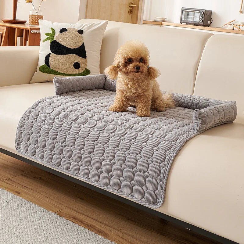 Protege canape pour chien gris sur un canapé de couleur blanc avec un petit chien dessus