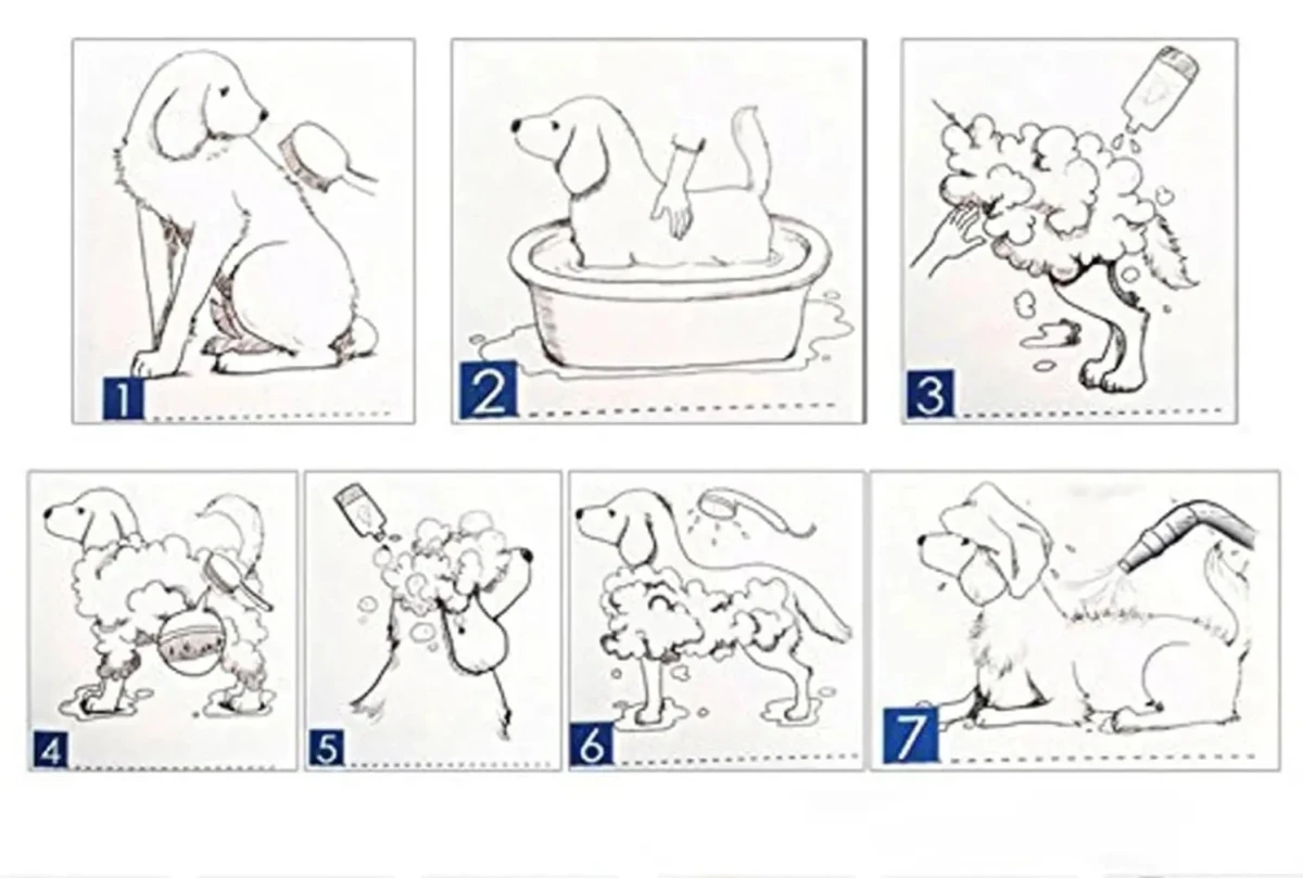 image montrant comment utiliser un pulseur chien de façon optimisé pour un meilleur nettoyage de votre chien. image produit Boutiquechien