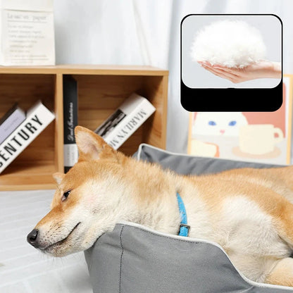 Shiba couché dans son panier avec un collier bleu pour chien. Le shiba est couché dans son panier xxl gris, en fond il y a des livres dans une commode. Rembourrage en coton blanc. Image pour produit boutiquechien