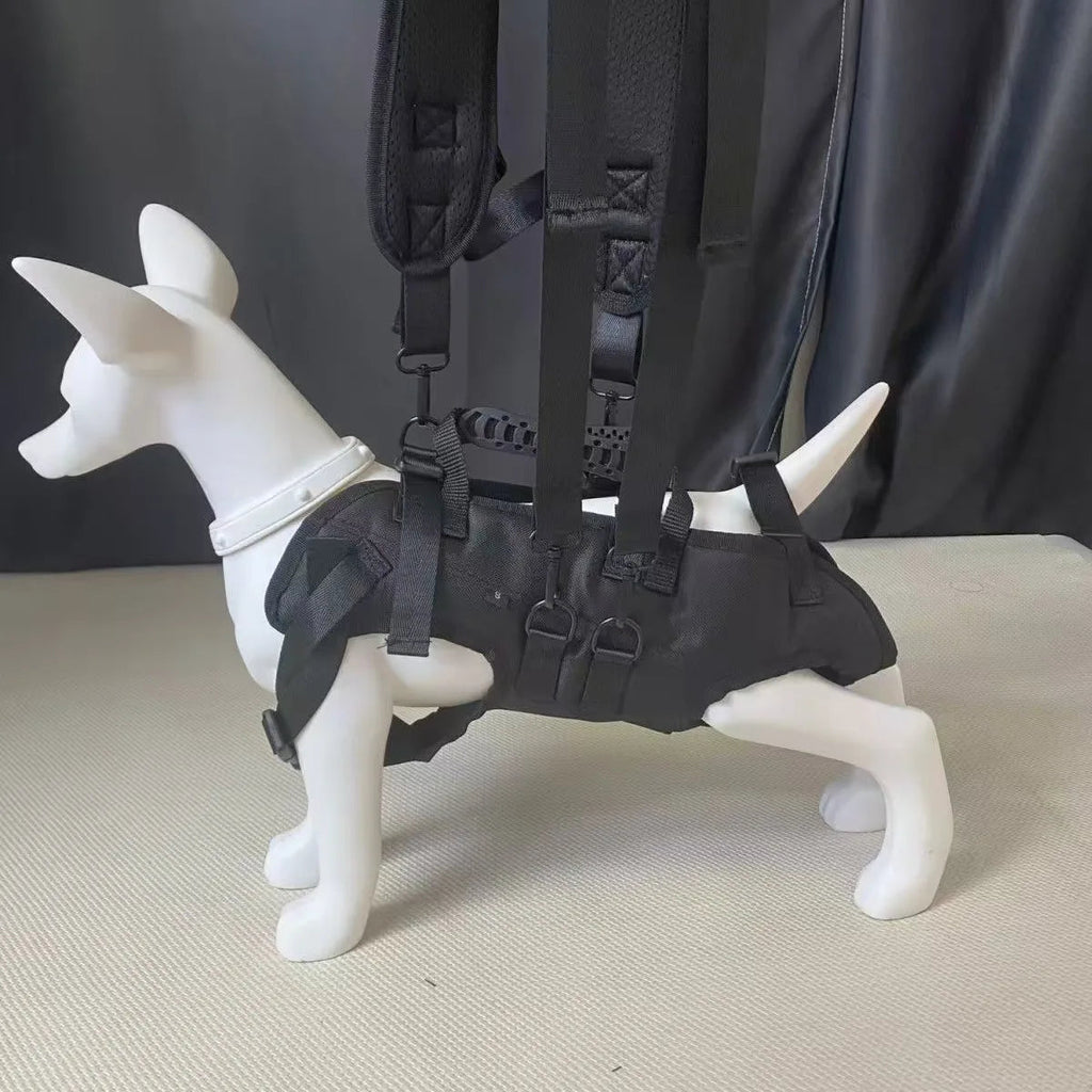 Sac a dos pour chien 10kg sur un mannequin petit chien 