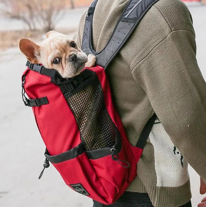 Sac a dos pour chien 15 kg avec buldog