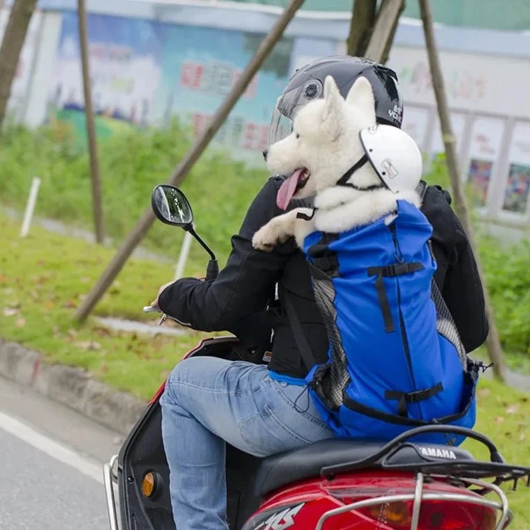 Sac a dos pour chien 15 kg sur une mobylette