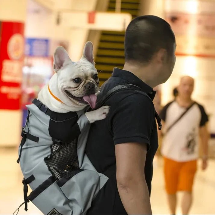Sac a dos pour chien 15 kg avec buldog 