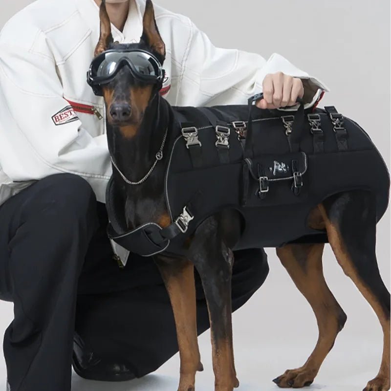 Sac à dos pour chien 20 kg sur doberman