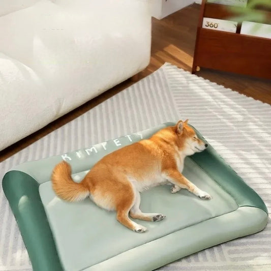 shiba brun et blanc avec un tapis chien moelleux vert rafraîchissant dans un salon de couleur claire. Image produit Boutiquechien
