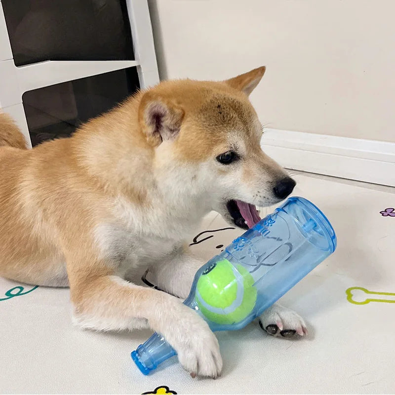 Shiba brun et blanc couché sur un sol de couleur blanc. Le chien joue avec sa bouteille avec une balle de tennis. Image produit Boutiquechien Image