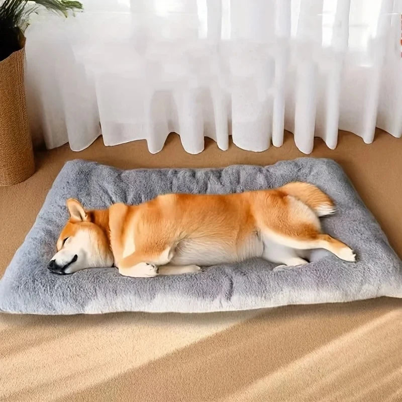 Panier pour chien xxl déhoussable avec un shiba couche dessus dans un salon claire