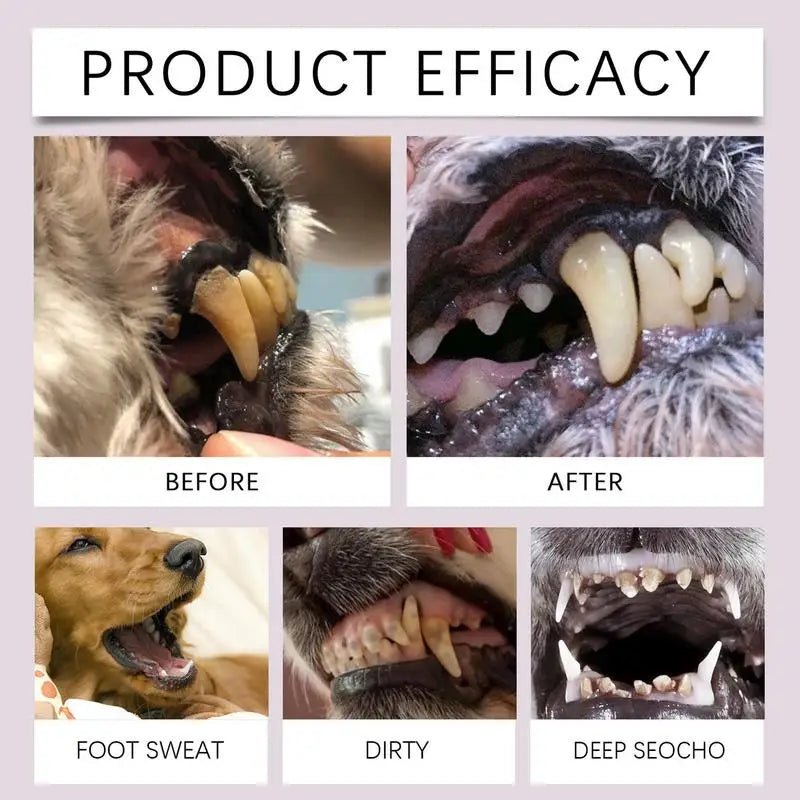Stylo brosse à dents pour chien efficacité produit 