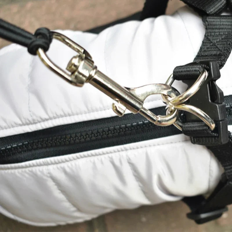 système d'attache du chien avec la laisse pour chien à vélo. Image produit Boutiquechien Image