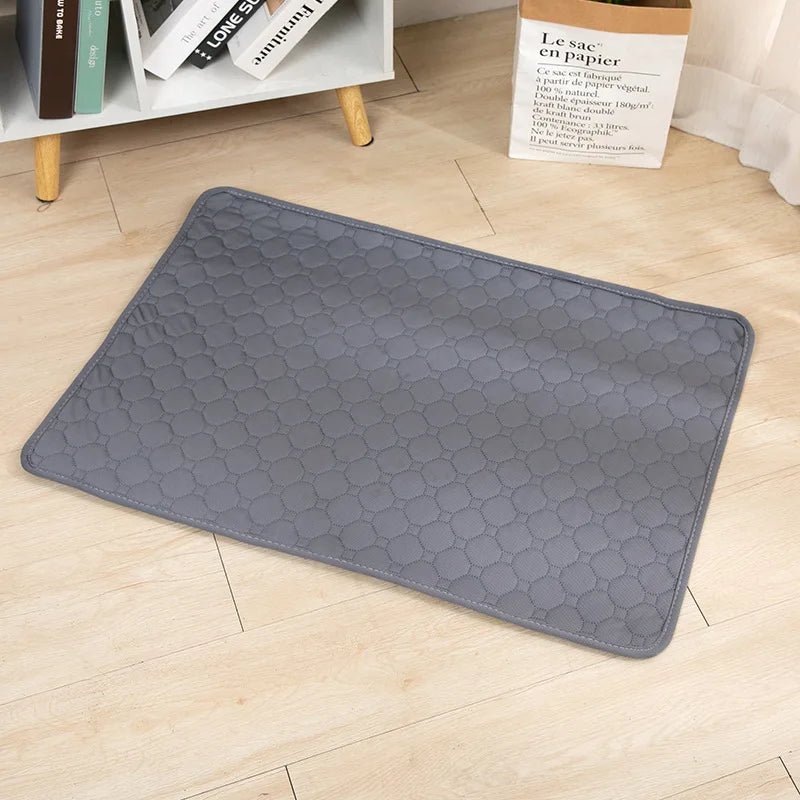 Tapis chien de couleur gris posé sur un sol de couleur claire. Le tapis chien absorbant est parfait pour les chiens. Le tapis est posé près d'une nappe blanche et d'une plante verte. Image produit Boutiuqechien 