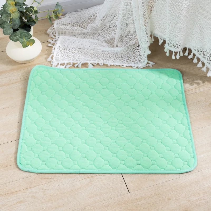 Tapis chien de couleur vert posé sur un sol de couleur claire. Le tapis chien absorbant est parfait pour les chiens. Le tapis est posé près d'une nappe blanche et d'une plante verte. Image produit Boutiuqechien 
