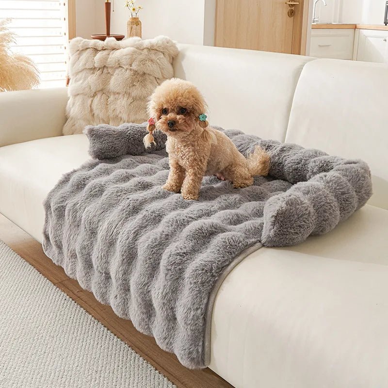 Tapis chien anti poils gris
