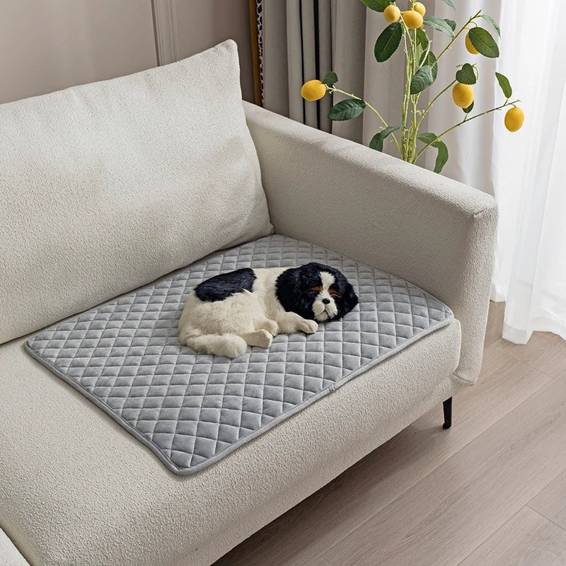 tapis de protection de canapé pour les chiots; Un chiot de couleur noir et blanc est couché sur un canapé de couleur blanc avec en fond un citronnier. Image produit Boutiquechien 