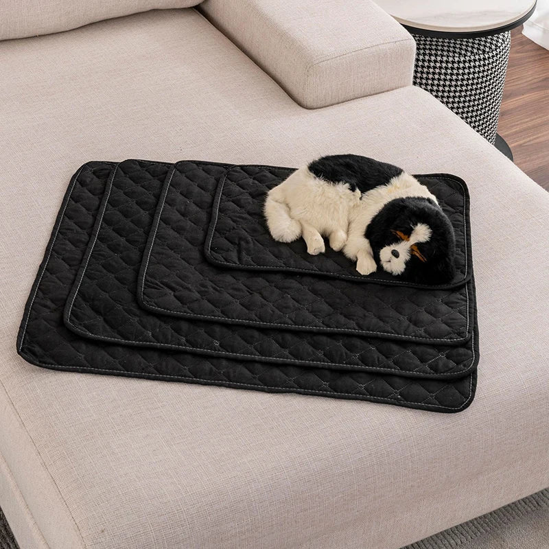 Chiot noir et blanc couché sur un tapis de couleur noir en montrant les différentes tailles. Le chien est sur un grande canapé de couleur blanc. Image produit Boutiuechien