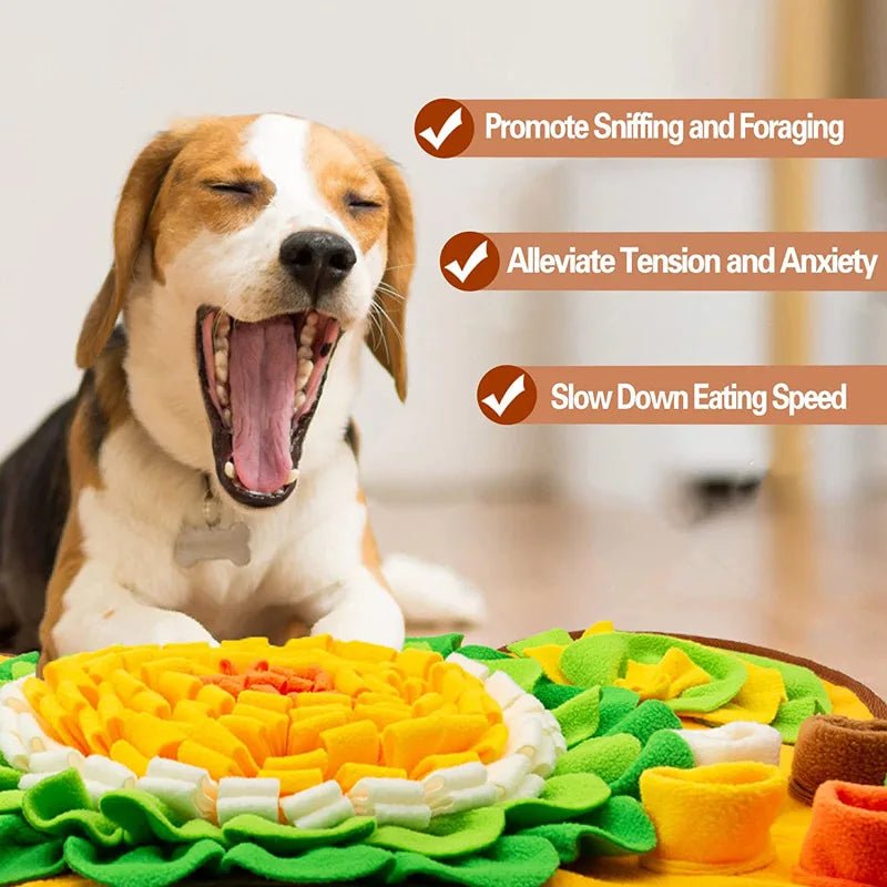 Tapis de recherche chien qualites