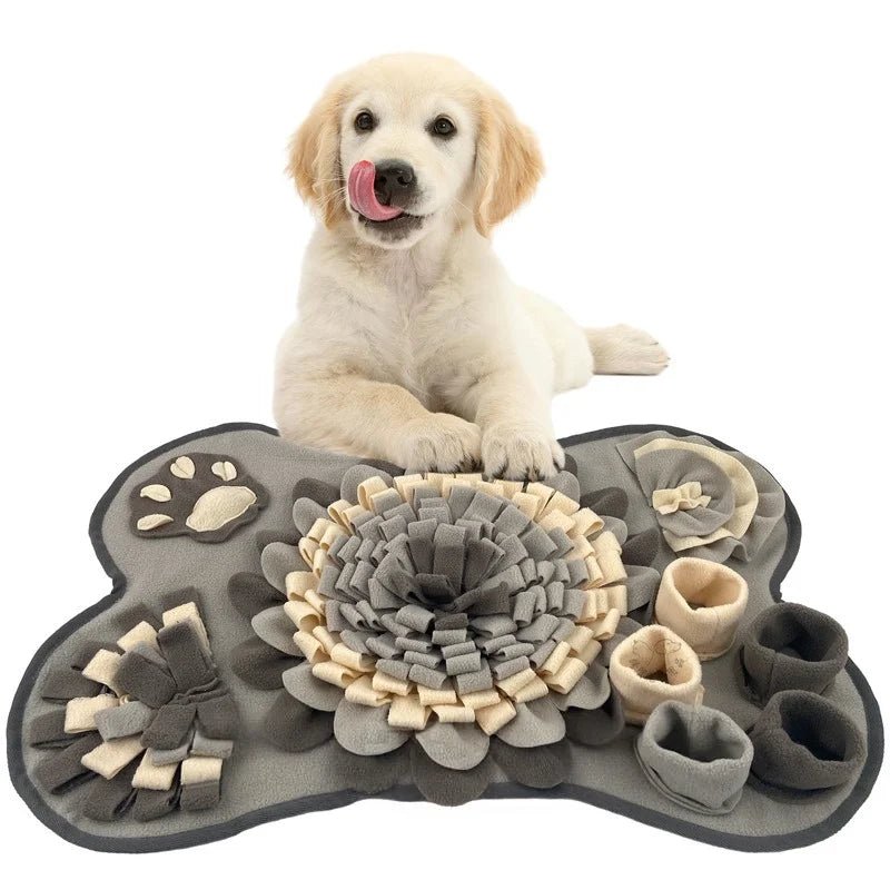 Tapis de recherche chien gris