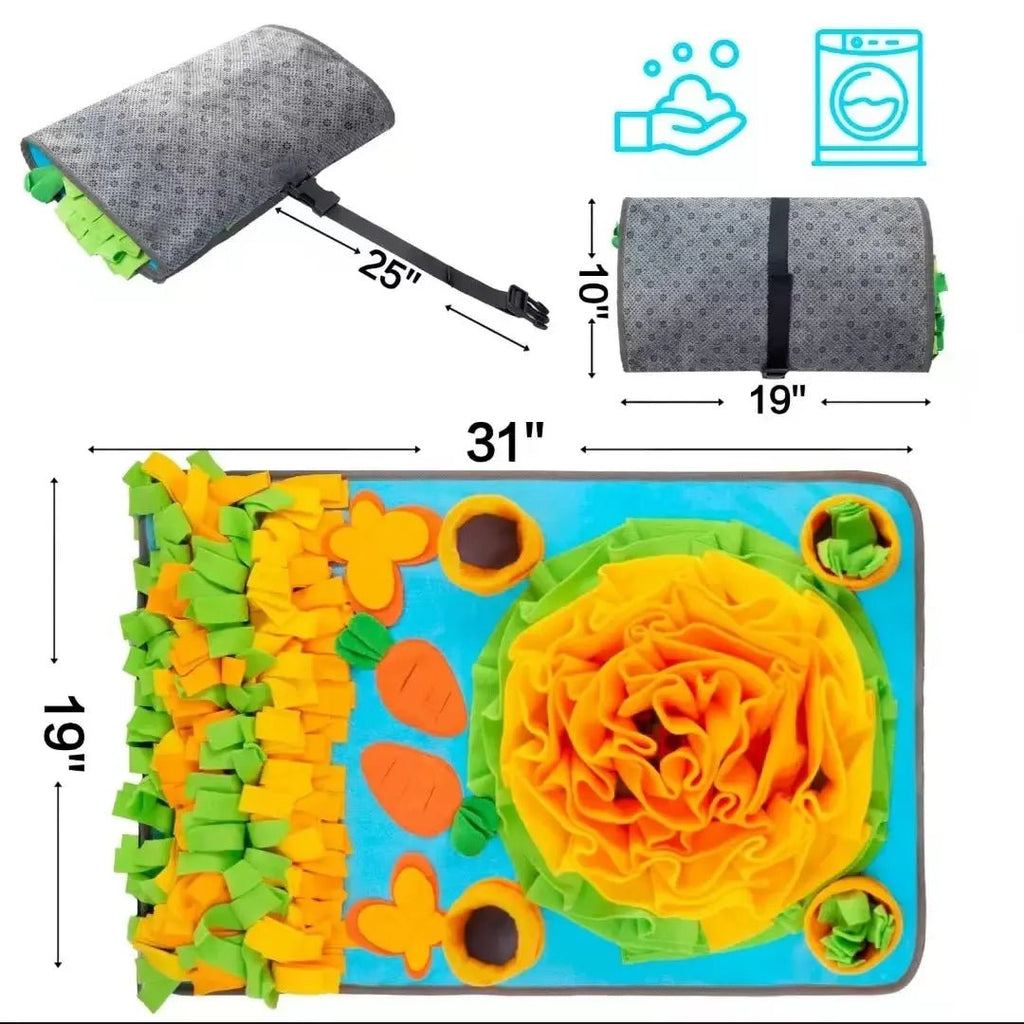 Tapis de recherche chien carre carotte