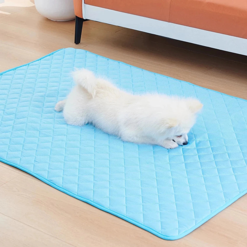 Tapis froid pour chien avec un petit chien au sol 