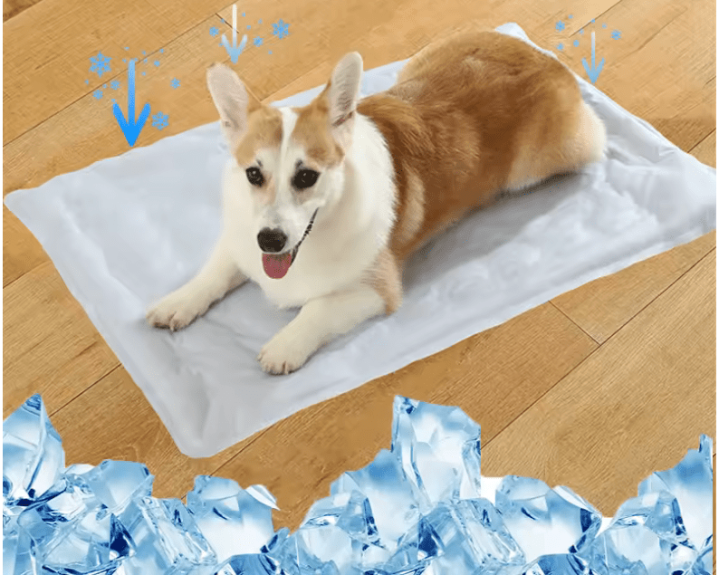 Tapis chien rafraîchissant de couleur blanc pour petit et moyen chien. Le chien est de couleurs brun et blanc. Image produit Boutiquechien 
