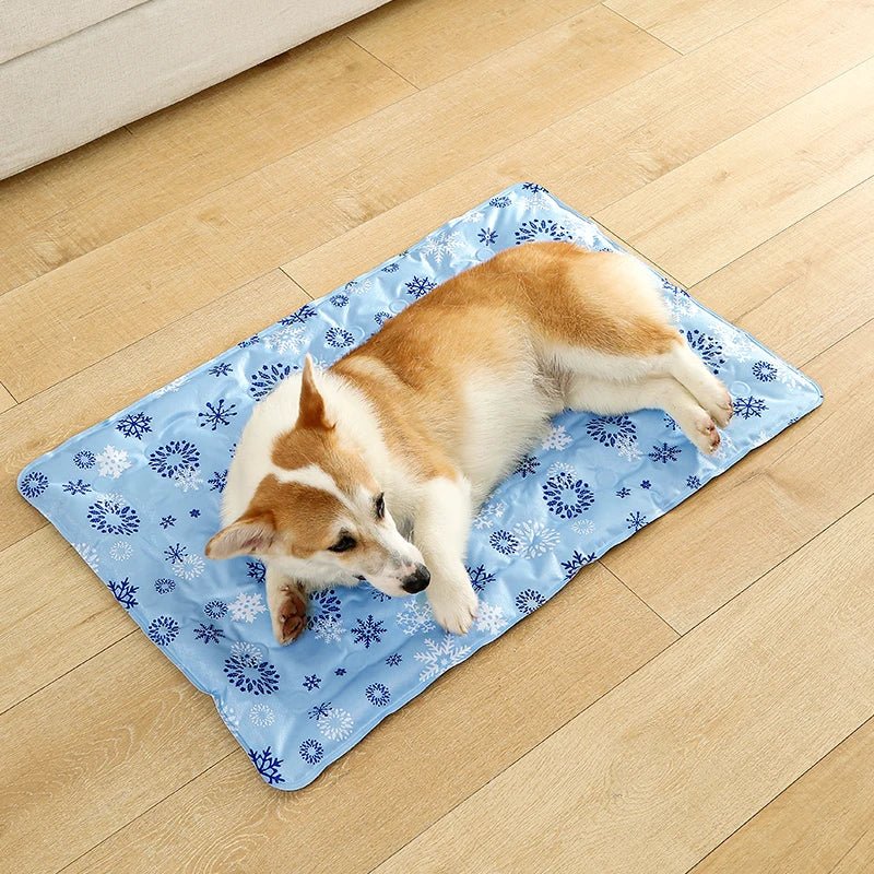 Tapis chien de couleur bleu rafraîchissant pour petit et moyen chien. Le tapis est posé dans un salon de couleur claire. Le chien est de couleur claire. Image produit Boutiquechien