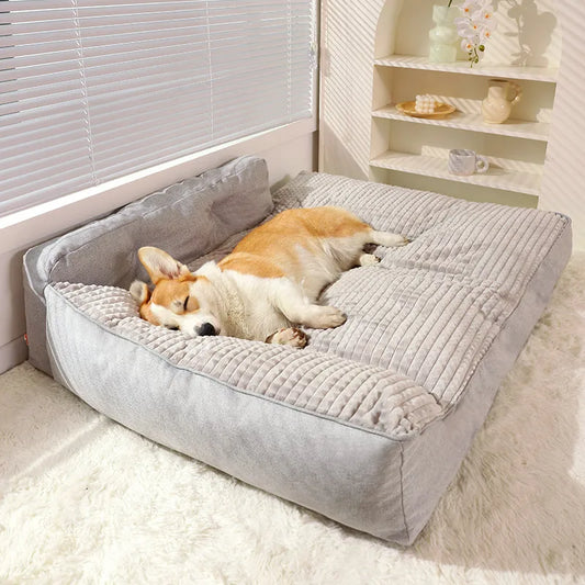tapis élégant pour chien  de couleur gris. Le tapis chien est posé sur un salon de couleur claire avec un mur et tapis blanc. Le corgi dort paisiblement sur son tapis doux. Image produit Boutiquechien