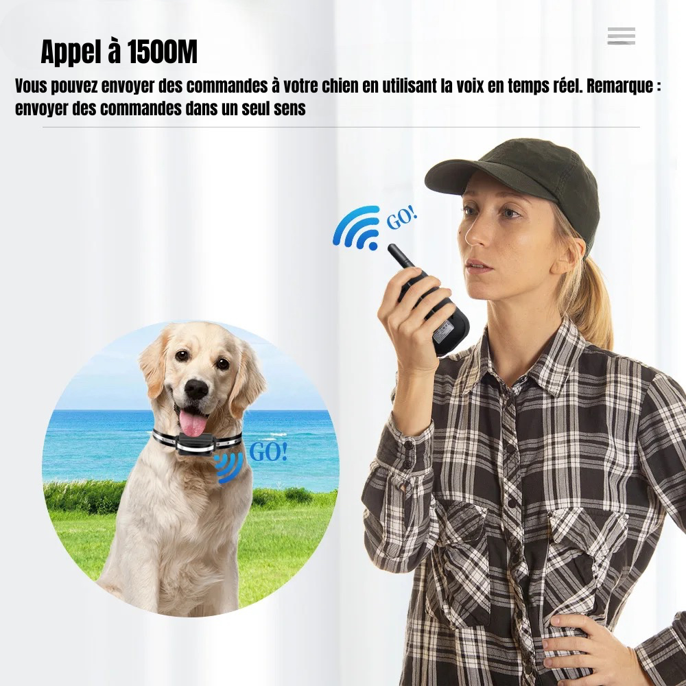 Appel à distance pour chien. Une maîtresse appelant son chien pour le dresser. Image produit Boutiquechien 