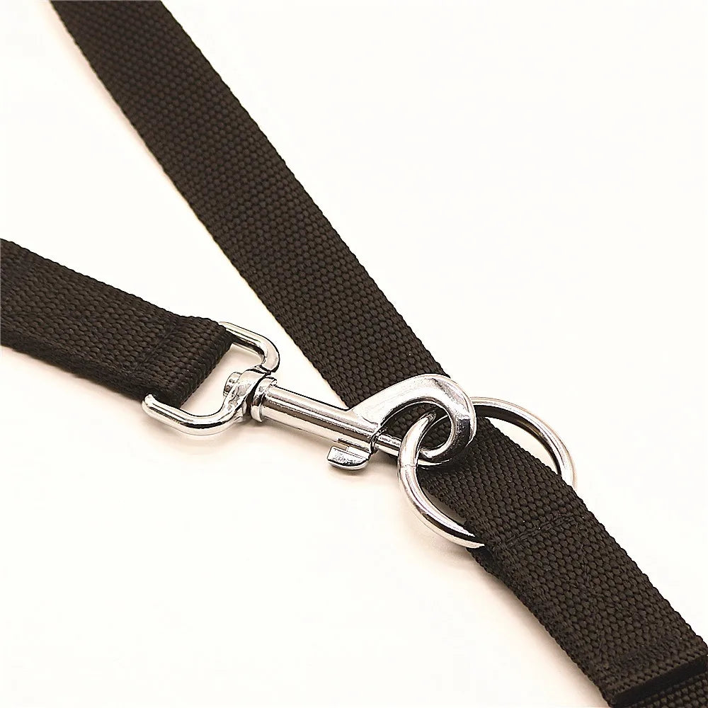 Laisse 3 positions pour chien tenu avec l'anneau Image