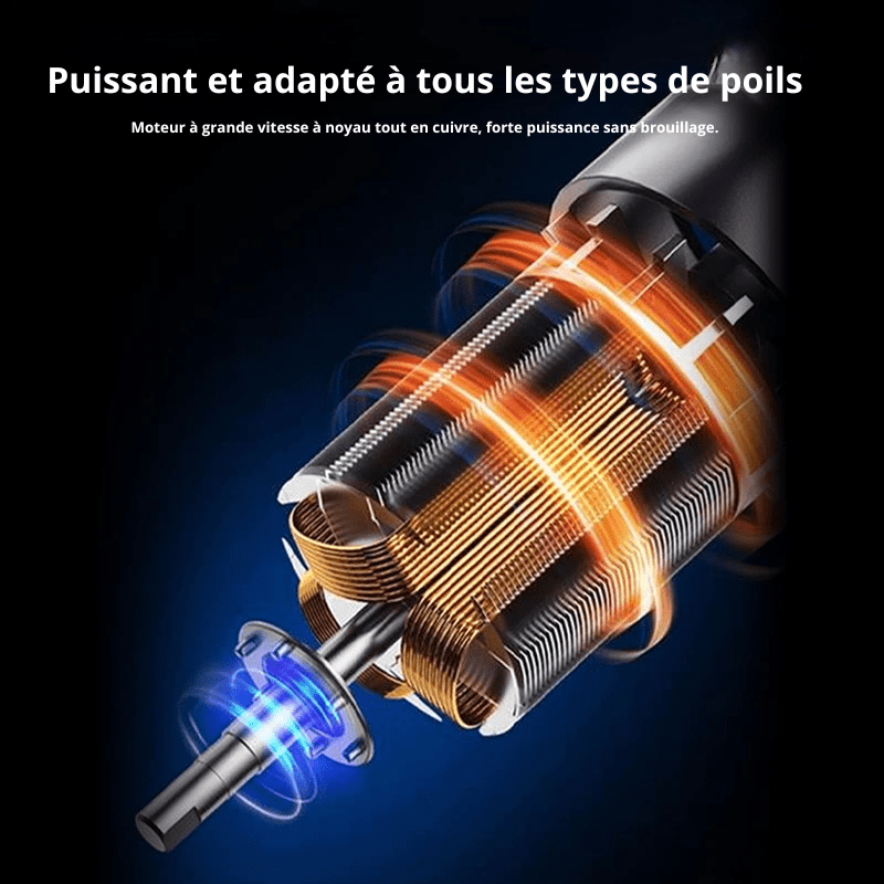 Moteur de la tondeuse pour chien. Image produit Boutiquechien