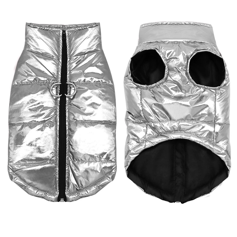 Totalité des vues de la veste argenté pour chihuahua. Nous avons une vue de haut et de base de la veste pour chihuahua. Image produit boutiquechien