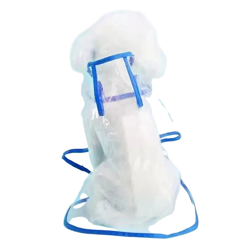 Imperméable pour chien de couleur transparent et bleu. Le chien blanc est assis de dos. Image produit Boutiquechien